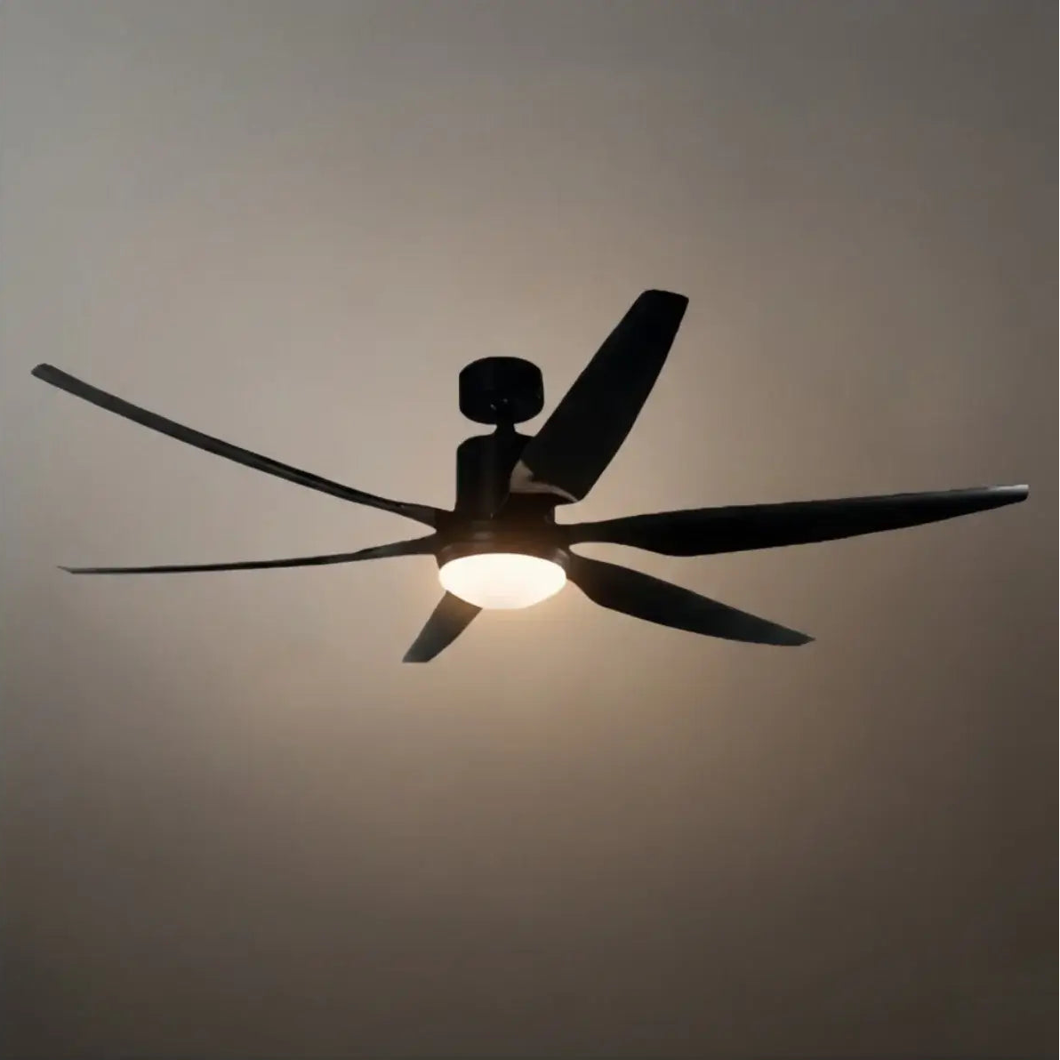 Morandia Modern Ceiling Fan Light